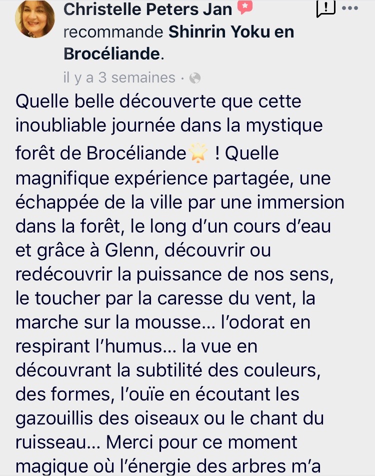 sylvotherapie - bain de foret - brocéliande