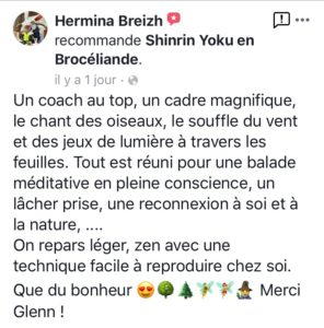 Bain de forêt et sylvothérapie en broceliande