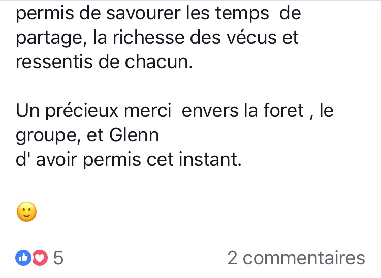 sylvotherapie - bain de foret - brocéliande