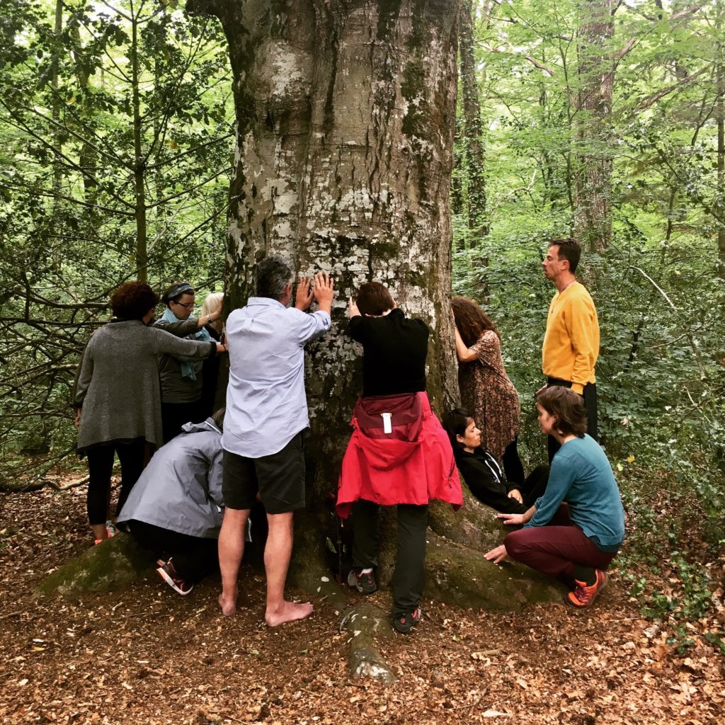 bain de forêt - sylvothérapie - brocéliande - formation - stage - atelier - séance