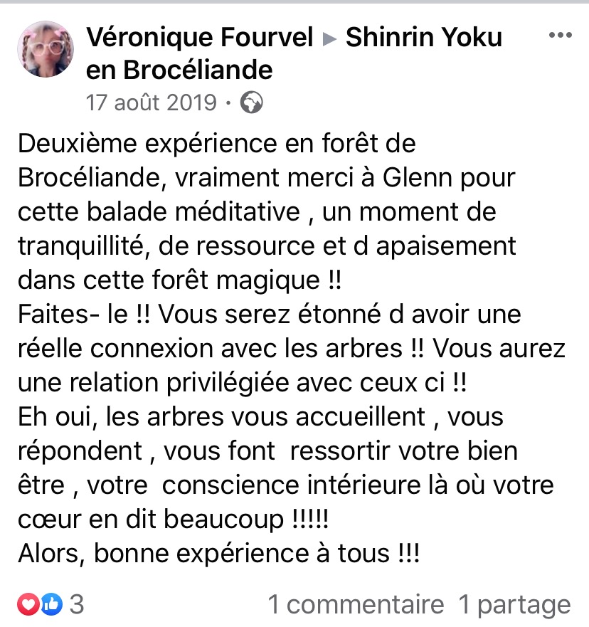 sylvothérapie, bain de foret, broceliande, shinrin yoku