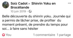 sylvothérapie, bain de foret, broceliande, shinrin yoku