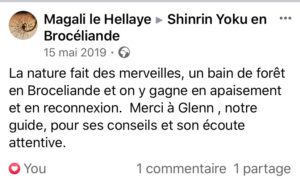 sylvothérapie, bain de foret, broceliande, shinrin yoku