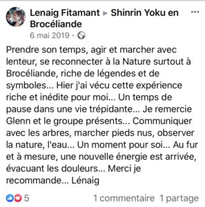 sylvothérapie, bain de foret, broceliande, shinrin yoku