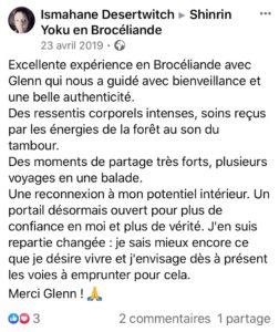 sylvothérapie, bain de foret, broceliande, shinrin yoku