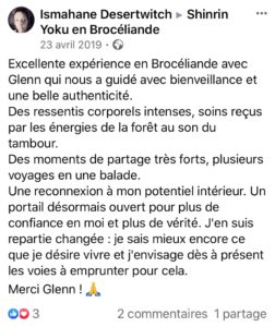 sylvothérapie, bain de foret, broceliande, shinrin yoku