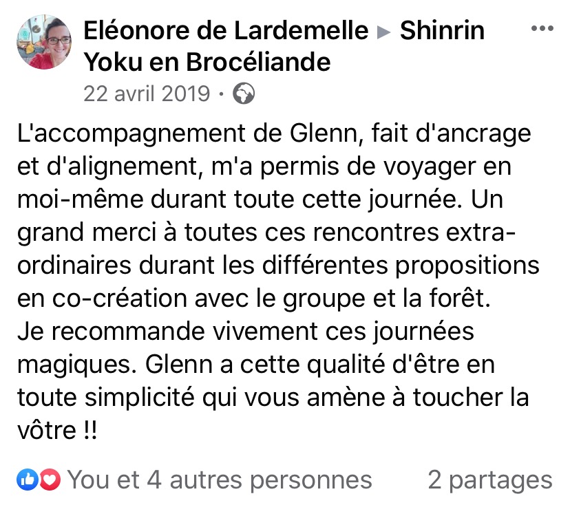 sylvothérapie, bain de foret, broceliande, shinrin yoku