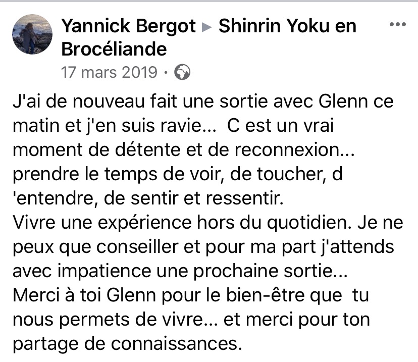 sylvothérapie, bain de foret, broceliande, shinrin yoku
