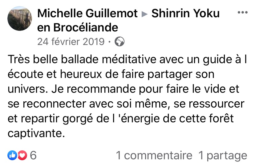 sylvothérapie, bain de foret, broceliande, shinrin yoku