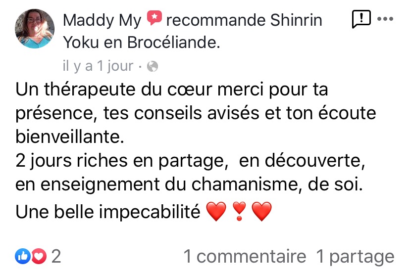 sylvothérapie, bain de foret, broceliande, shinrin yoku