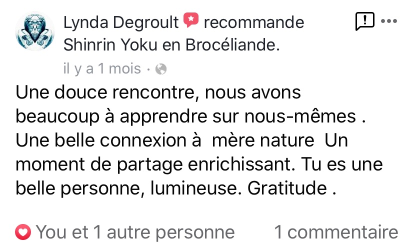 sylvothérapie, bain de foret, broceliande, shinrin yoku