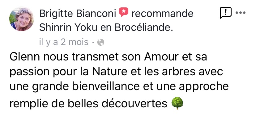 sylvothérapie, bain de foret, broceliande, shinrin yoku