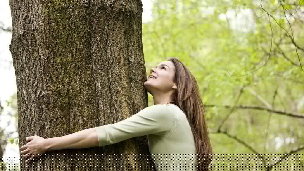 Sylvotherapie humaniste, bain de foret, Shinrin Yoku