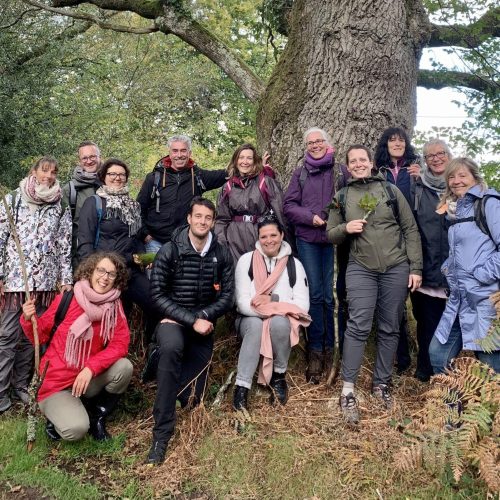 Sylvotherapie humaniste, bain de foret, Shinrin Yoku