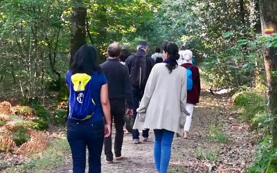 bain de forêt et sylvothérapie en brocéliande