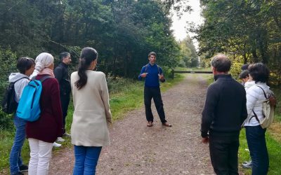 bain de forêt et sylvothérapie en brocéliande