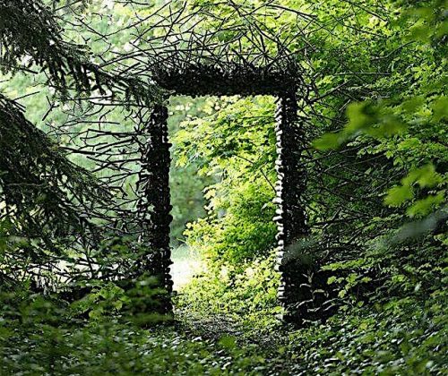 foret porte - carré
